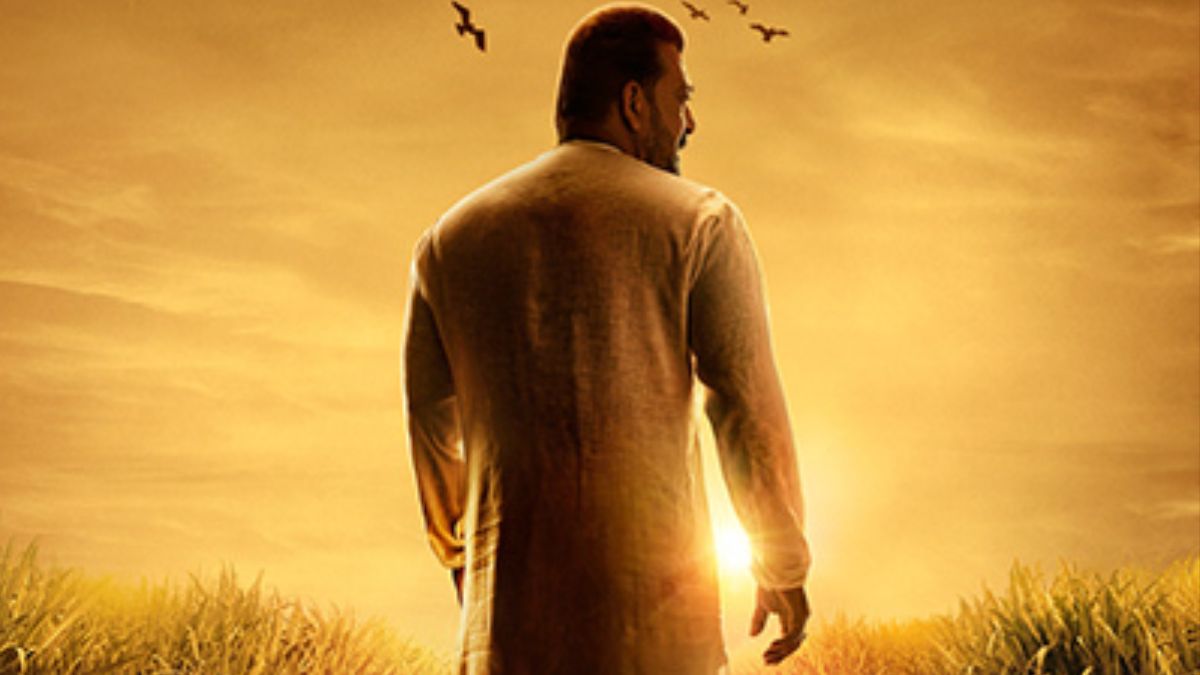 News Article Hero Image