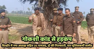 News Article Hero Image