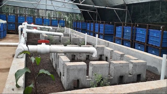 मानव मल से खाद... चिरकुंडा में झारखंड का पहला प्लांट तैयार; बागवानी को मिलेगा सस्ता और सुरक्षित उर्वरक
