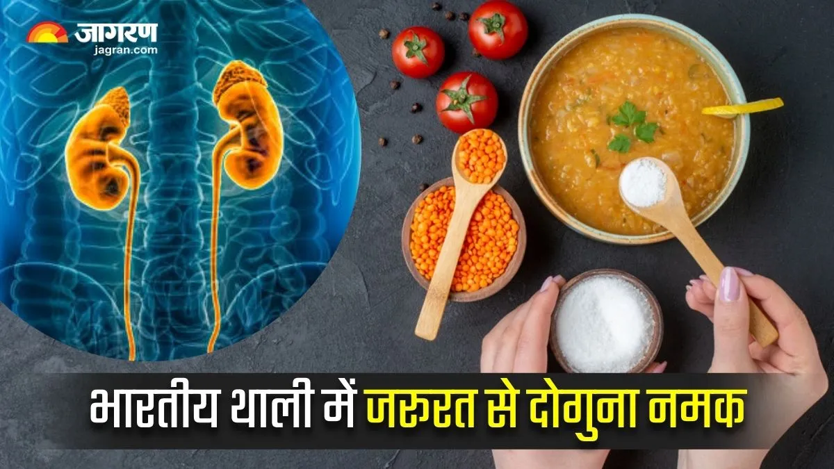 किडनी पर कैसा असर डालता है खाने में ज्यादा नमक का इस्तेमाल? डॉक्टर ने बताया कितनी मात्रा है सही