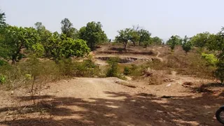 हाथियों के आतंक से गंधौरिया धाम इलाके में पसरा सन्नाटा।