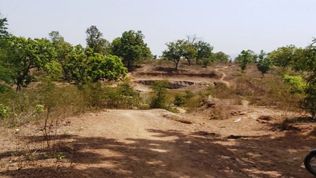 जंगली हाथियों ने रोका गंधौरिया धाम में टूसू मेला का रथ, भयभीत ग्रामीणों ने 100 साल पुरानी परंपरा रोकी
