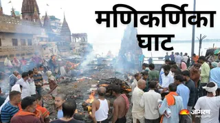 News Article Hero Image