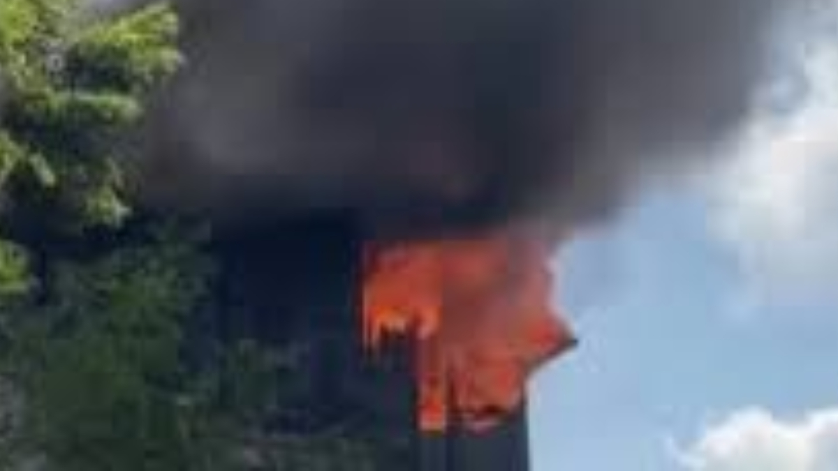 News Article Hero Image