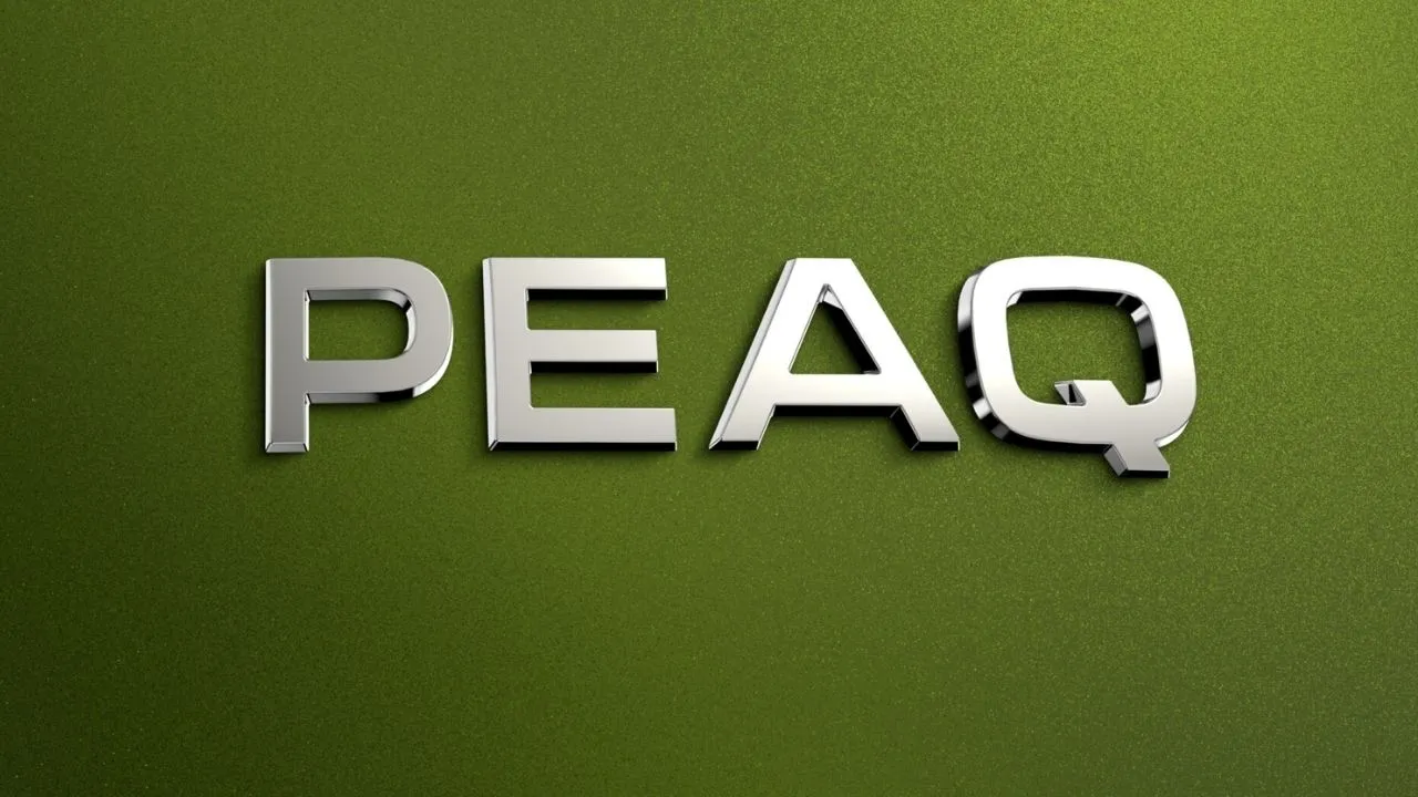 Skoda Peaq के नाम से आएगी नई Electric SUV, सात सीटों के साथ मिलेंगे कई बेहतरीन फीचर्स