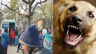 एंबुलेंस से अस्पताल जाते घायल
