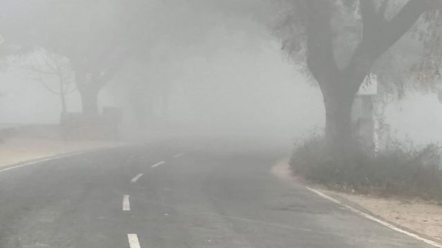 Weather Update: शाहजहांपुर में अचानक छाया घना कोहरा, विजिबिजिटी हो गई बेहद कम
