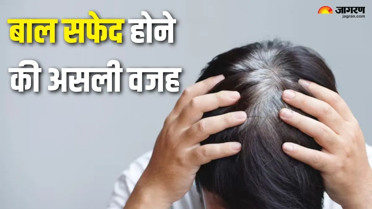 25 की उम्र में 55 का लुक? बुढ़ापे से पहले आपके बाल सफेद होने की असली वजह ये 'कमी' है