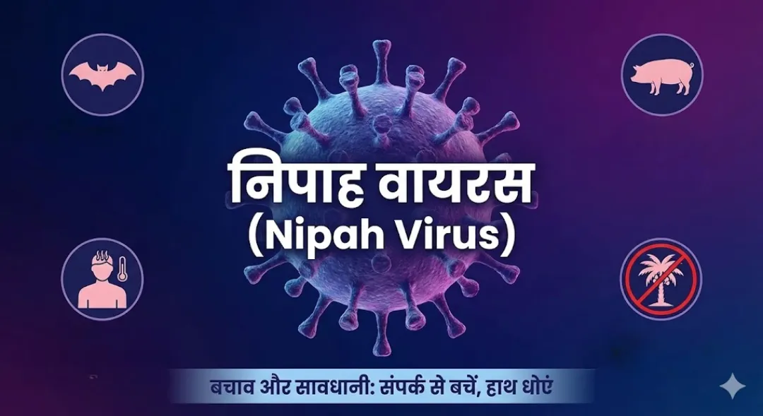 भारत में फिर लौट सकता है निपाह वायरस! चमगादड़ से फैलने वाली इस जानलेवा बीमारी से कैसे बचें?