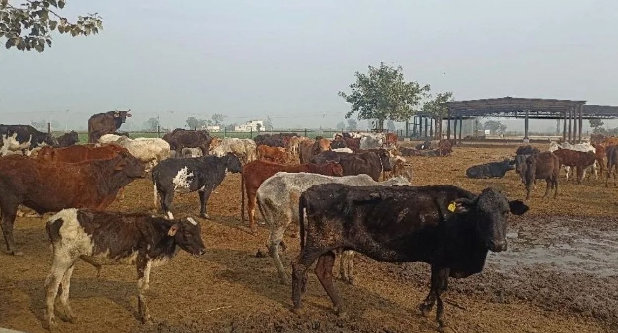 News Article Hero Image