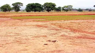 सांकेतिक तस्वीर