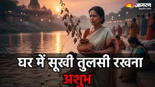 तुलसी का पौधा सूखना शुभ संकेत नहीं (Image Source: AI-Generated)
