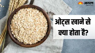 रोजाना डाइट में शामिल करें ओट्स, मिलेंगे ये फायदे (Picture Credit - Canva)