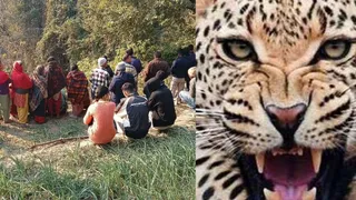 पौड़ी में गुलदार का आतंक: मकर संक्रांति के स्नान को जा रहे व्यक्ति को बनाया निवाला