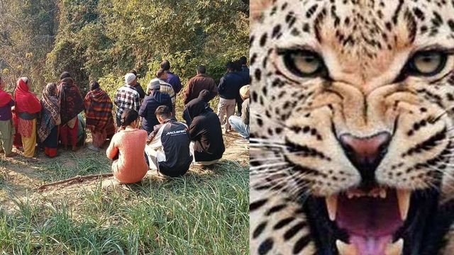 पौड़ी में गुलदार का आतंक: मकर संक्रांति के स्नान को जा रहे व्यक्ति को बनाया निवाला, इलाके में दहशत