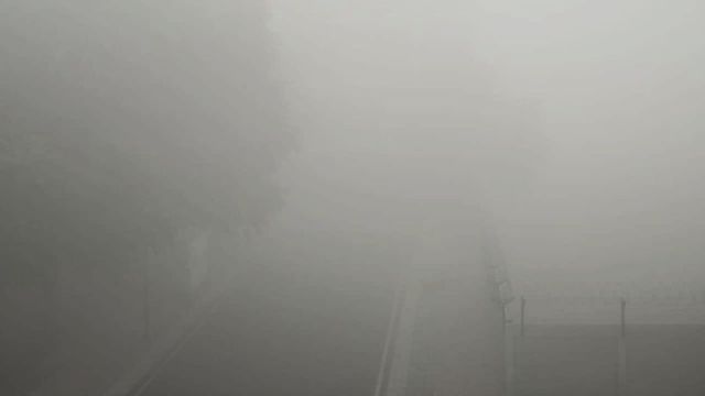 घने कोहरे की गिरफ्त में गुरुग्राम, 50 मीटर से कम रही दृश्यता; हाईवे से लेकर शहर तक रेंगता रहा ट्रैफिक
