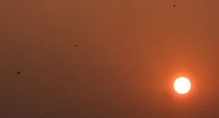 सूर्योदय से सूर्यास्त तक आकाश में उड़ती रही पतंग। जागरण