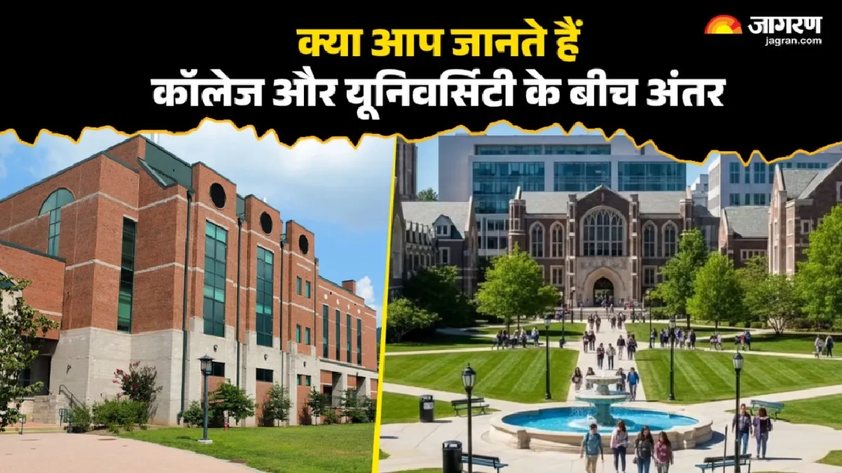 News Article Hero Image