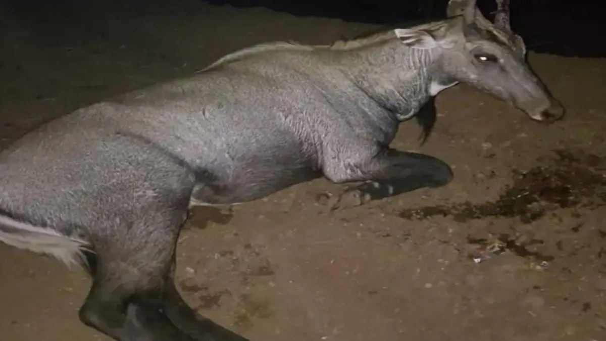 News Article Hero Image