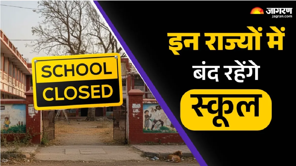 News Article Hero Image