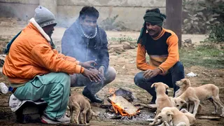 कड़ाके की ठंड ने दिल्ली-यूपी को जकड़ा, पंजाब-राजस्थान में शीत लहर का अटैक (फोटो- एएनआई)