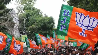 महाराष्ट्र स्थानीय निकाय चुनाव में भगवा लहर, भाजपा ने 29 नगर निगमों में 1,425 सीटें जीतीं

