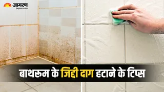 पीली पड़ गई बाथरूम की टाइल्स? अपनाएं ये टिप्स (Picture Credit - Canva)