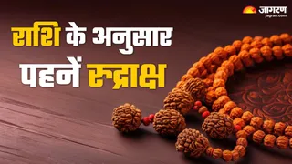 rashi anusar Rudraksha (Picture Credit: Freepik)