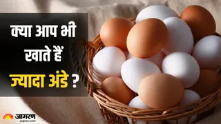 अंडे खाने के शौकीन आज ही जान लें 4 कड़वा सच, वरना पछताएंगे आप (Image Credit - Canva)