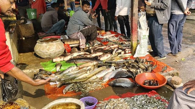 कटिहार : मखाना ने फीका कर दिया देसी मछली का स्वाद
