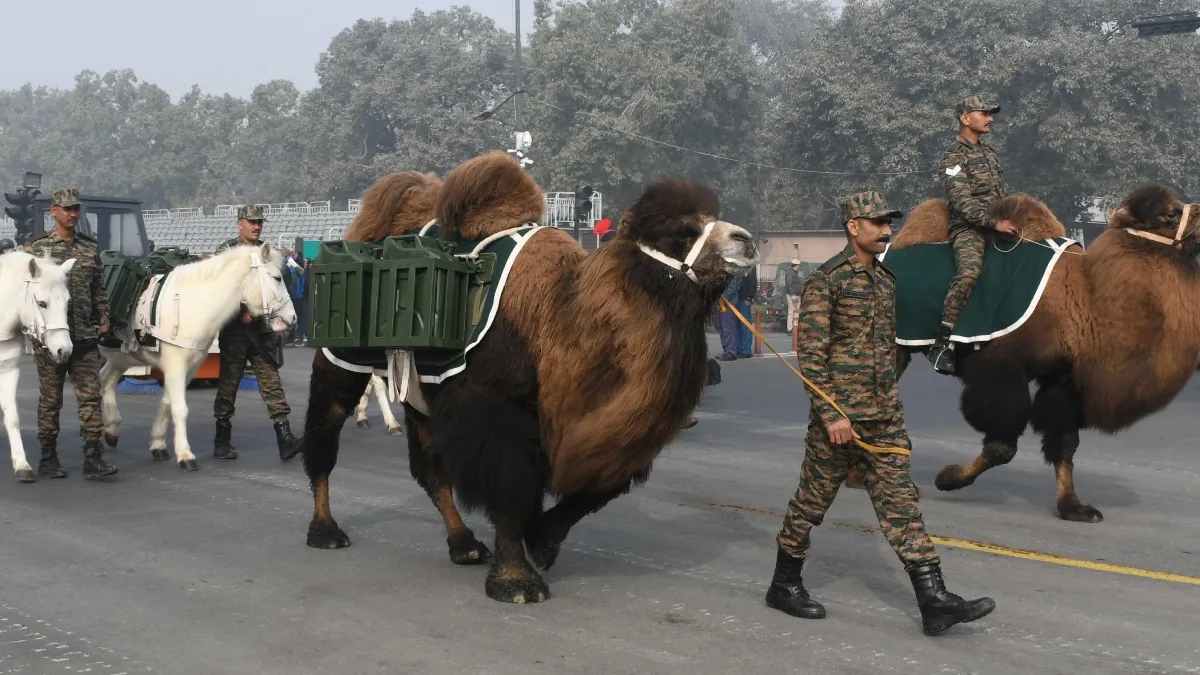 PHOTOS: गणतंत्र दिवस परेड में लद्दाख के ऊंट के साथ बाज भी आएंगे नजर, दिखेगा सेना का पराक्रम और शौर्य