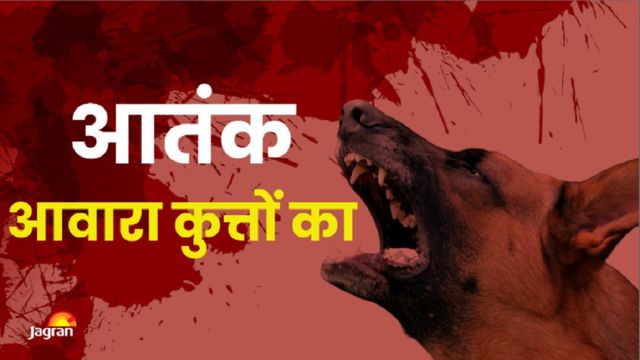 मुजफ्फरनगर में आवारा कुत्ते ने बालक पर किया हमला, चेहरे पर आए पांच टांके
