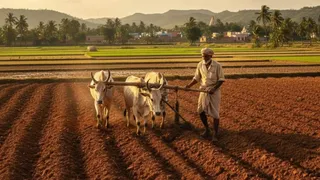 प्रतीकात्मक चित्र