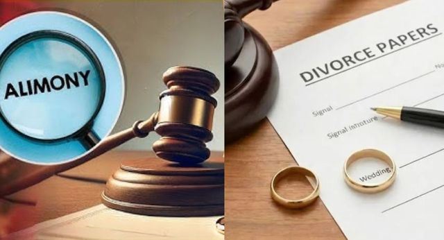 wife has no right to maintenance if income and assets are concealed punjabharyana hc issues a tough decision on alimony