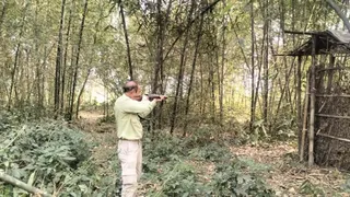 नील गाय को शूट करने के लिए तैयार वनकर्मी