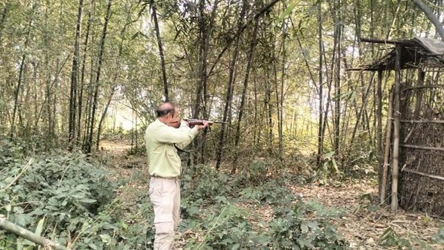 मधेपुरा : 47 नीलगाय को वन विभाग के कर्मचारियों ने मारी गोली, फसलों को करता था नष्ट
