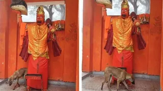 बिजनौर के नंदपुर गांव में हनुमान जी की मूर्ति की परिक्रमा करता कुत्ता (फाइल फोटो)