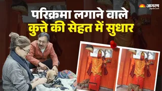 नोएडा में कुत्ते को खाना खिलातीं डा. प्रिया चोपड़ा व डा. अश्वनी चित्रांश, परिक्रमा करते कुत्ते का फाइल फोटो