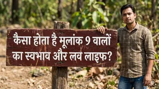 Mulank 9: मूलांक 9 का अंकराशिफल। (AI Generated Image)