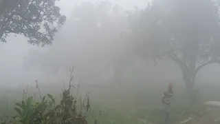 पश्चिम चंपारण के बगहा में सुबह साढ़े आठ बजे का मौसम । जागरण