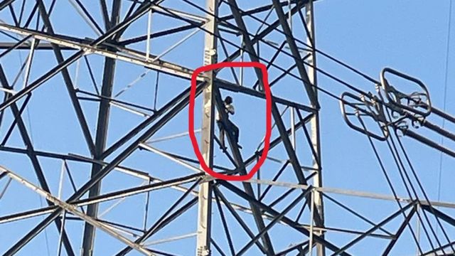 हाईटेंशन विद्युत टावर पर चढ़कर नशे में धुत युवक ने किया हाई-वोल्टेज ड्रामा, 100 फीट की ऊंचाई से गिरा
