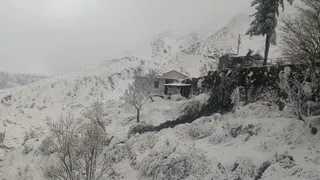 चकराता में बर्फबारी का नजारा। जागरण