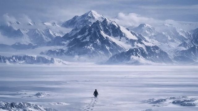 nihilist penguin death march viral video trump joins meme trend