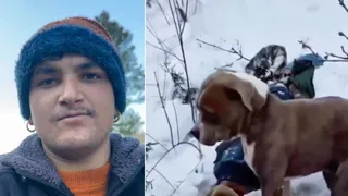 विकसित राणा का फाइल फोटो और पीयूष के शव के पास खड़ा पिटबुल डॉगी।