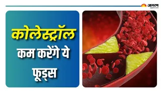 कोलेस्ट्रॉल नियंत्रित करने के लिए क्या करें? (Picture Courtesy: Freepik)