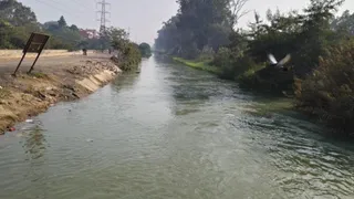 मुनक नहर पर स्थित हादरपुर वाटर ट्रीटमेंट प्लांट में हर माह मिलते हैं पांच शव। जागरण