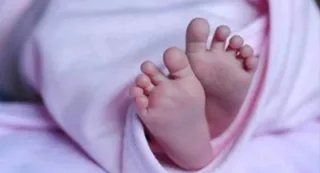 पुलिस व सेहत विभाग की टीमों ने भ्रूण को कब्जे में लेकर जांच शुरू की है।