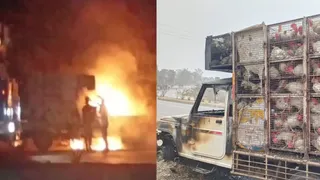 सोनभद्र में मुर्गा लदे पिकअप में लगी भीषण आग, एक क्विंटल से अधिक मुर्गे मरे।