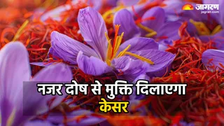 Saffron Remedies: केसर के उपाय (Image Source: AI-Generaed)