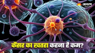 आज ही अपनाएं कैंसर से बचने के ये 8 नियम (Image Source: Freepik)